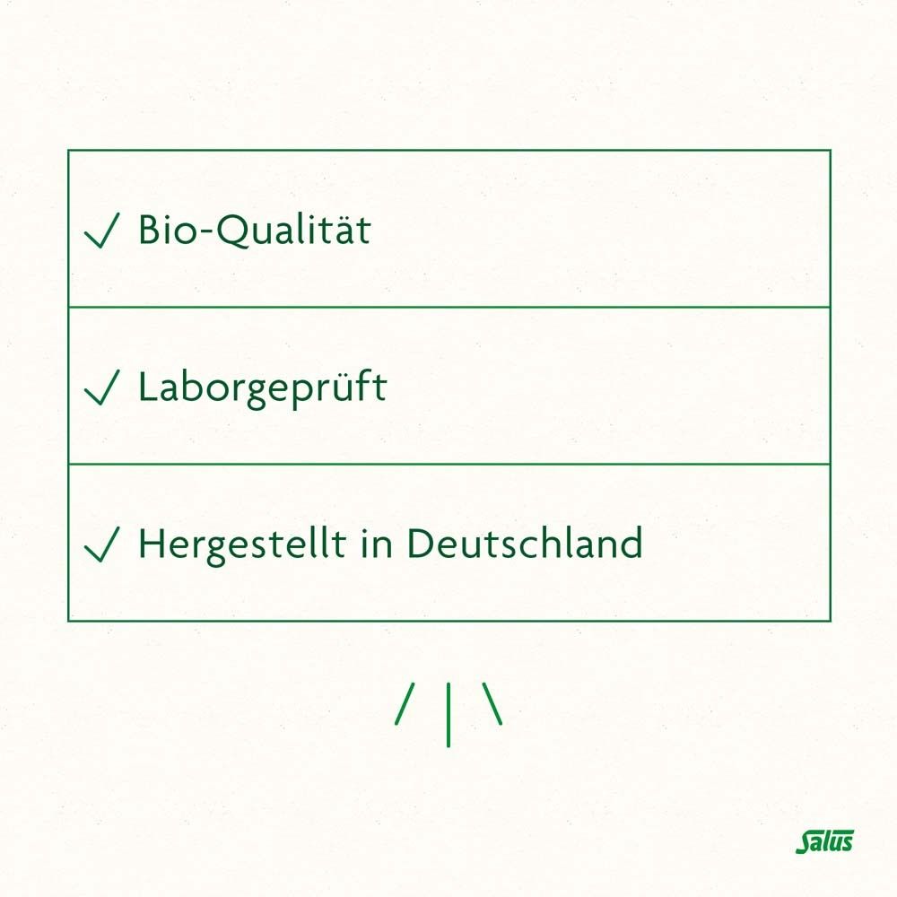 FreeBalance Löwenzahn-Brennnessel Basischer Tee