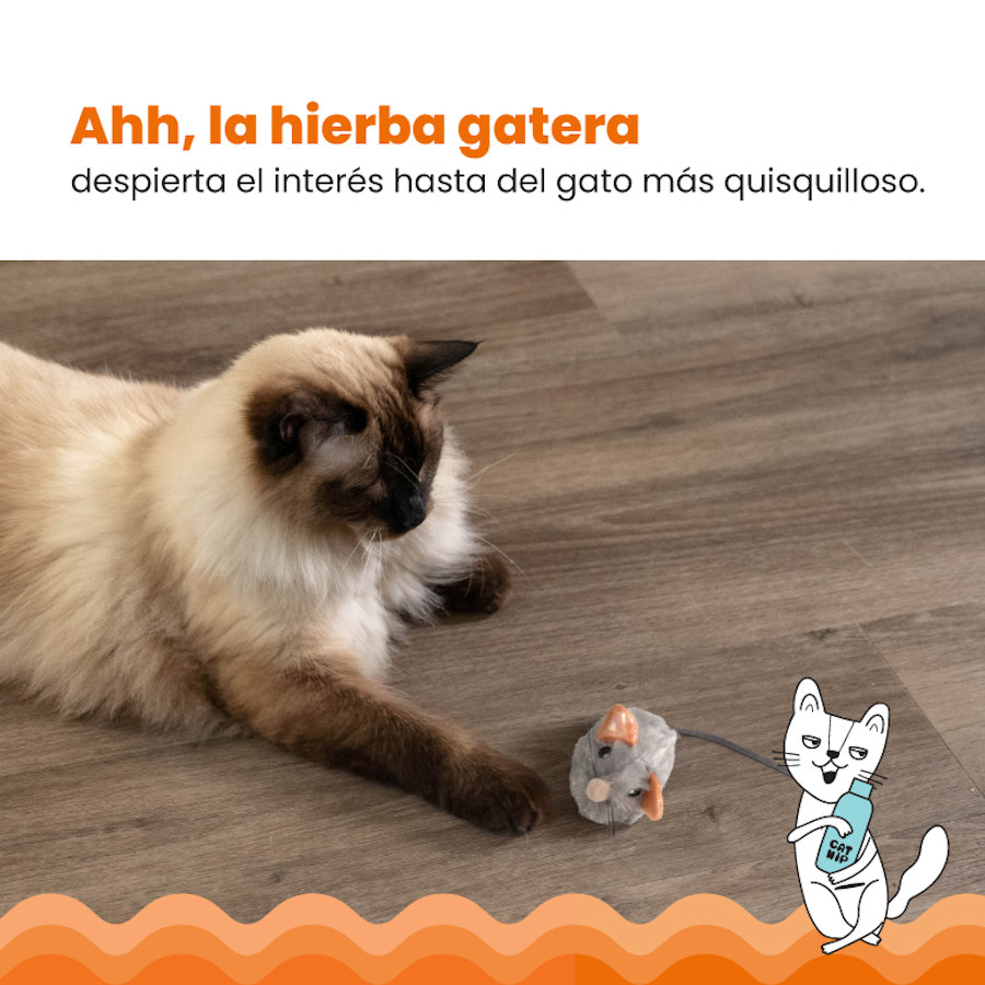 Ratinho de brinquedo cinza com catnip da Outward Hound Catstages, que faz barulho ao ser apertado.