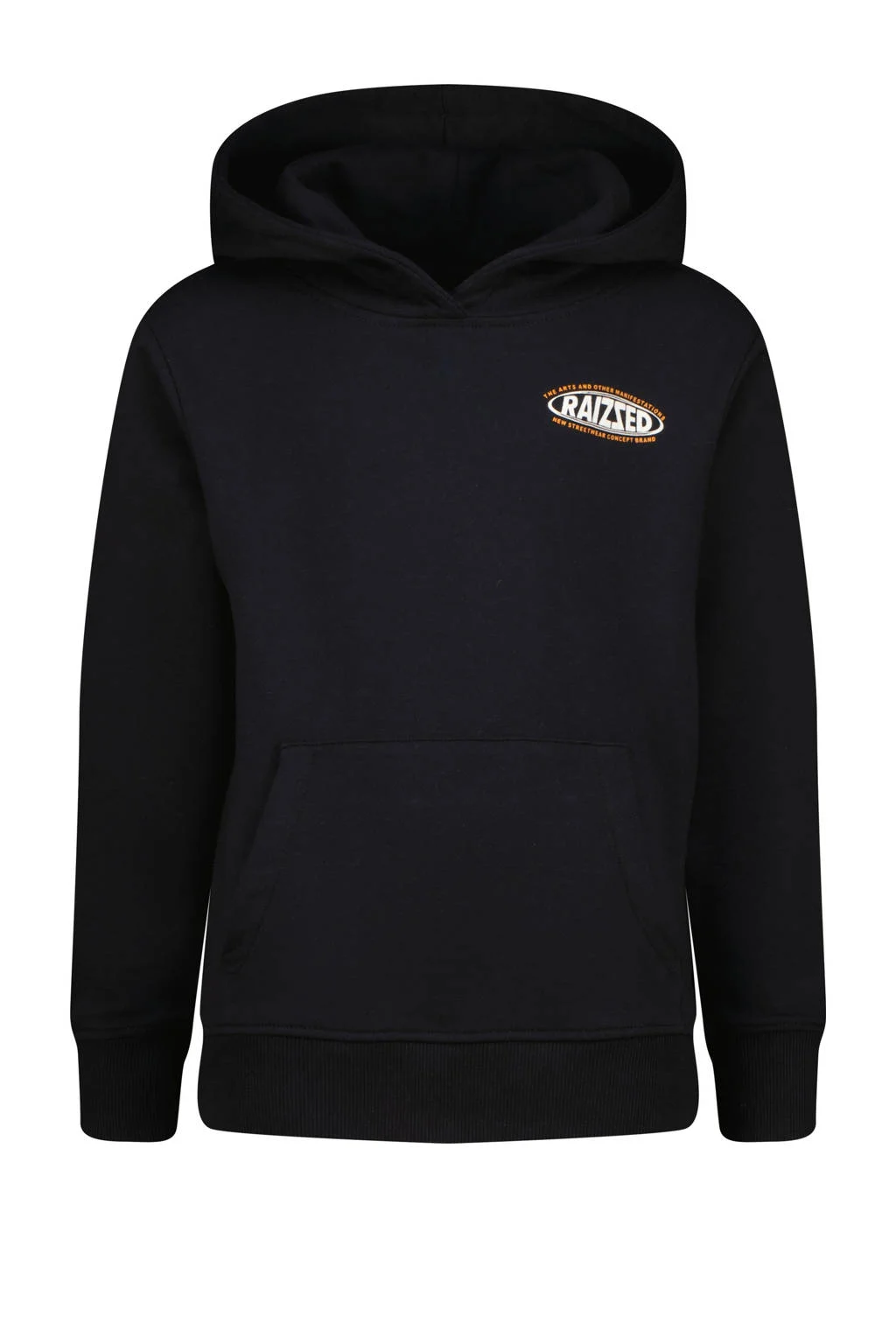 Raizzed hoodie Nice met backprint zwart