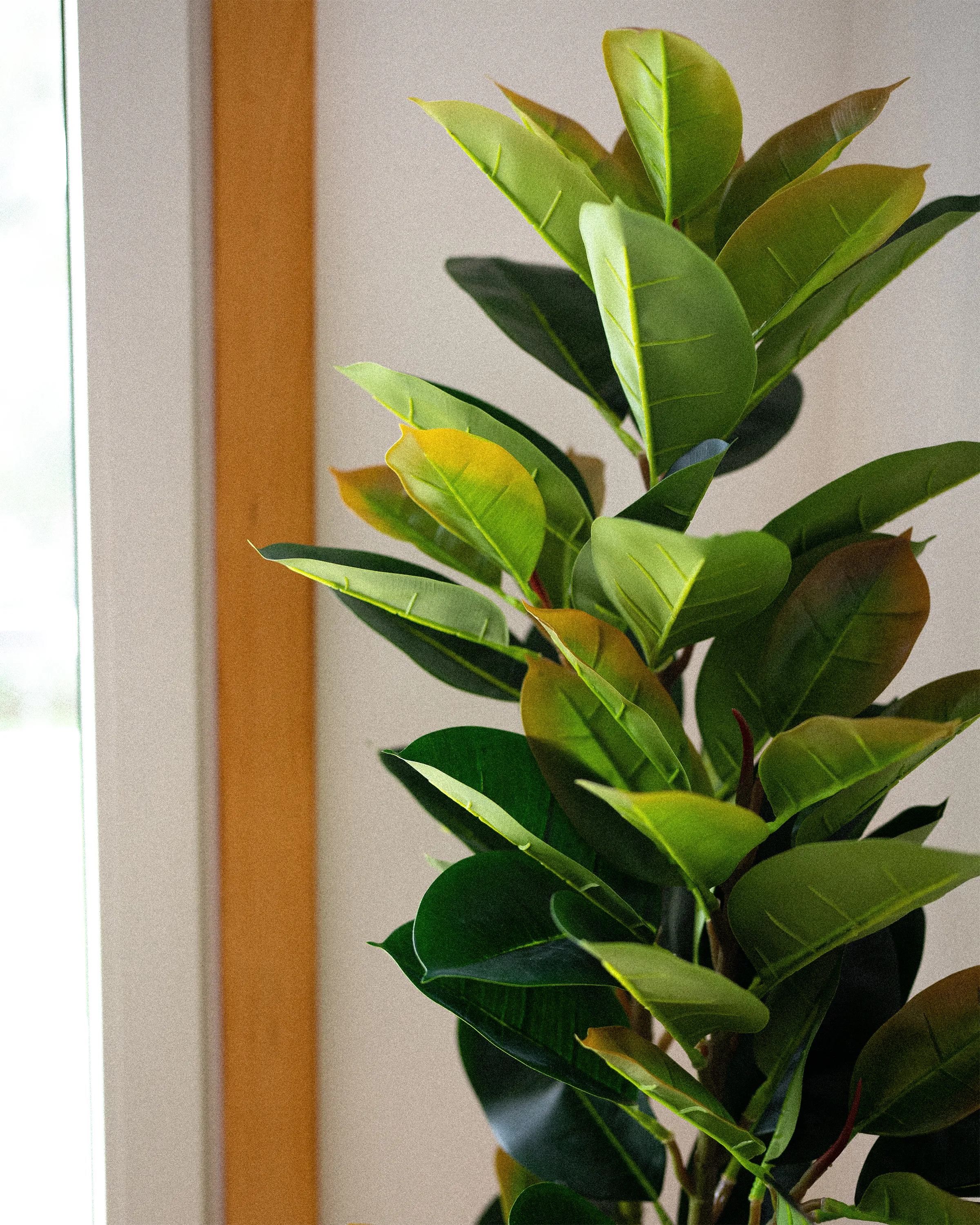 Kunstplant FICUS ELASTICA 134 cm Groen