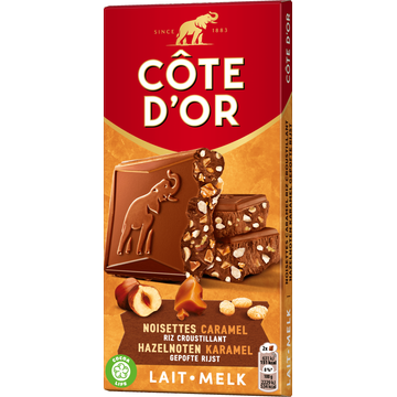Cote D'or Melk Hazelnoot Chocolade Reep 170g