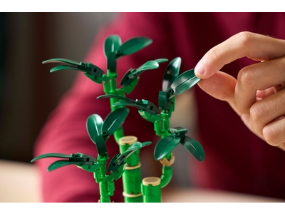 LEGO Bamboe (10344)
