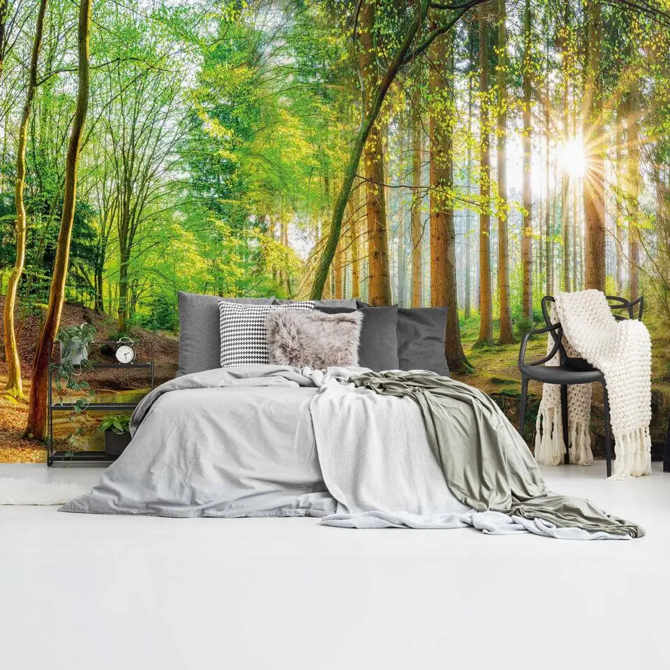 Fotobehang Bos in de zon - 260x384cm - Groen