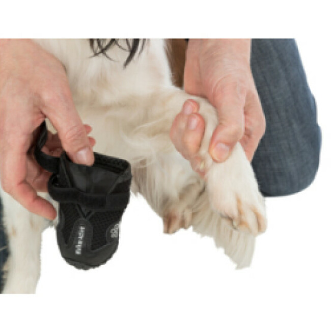 Paire de bottes de protection Walker Active Trixie pour chiens
