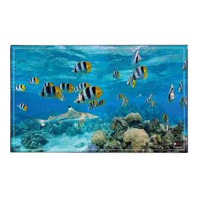 Viquel - Sous-main Poisson-clown ou Requin - 59,5 x 36,2 cm