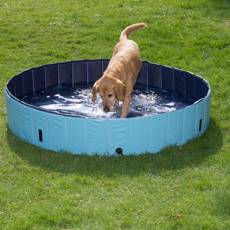 Piscine Dog Pool Keep Cool