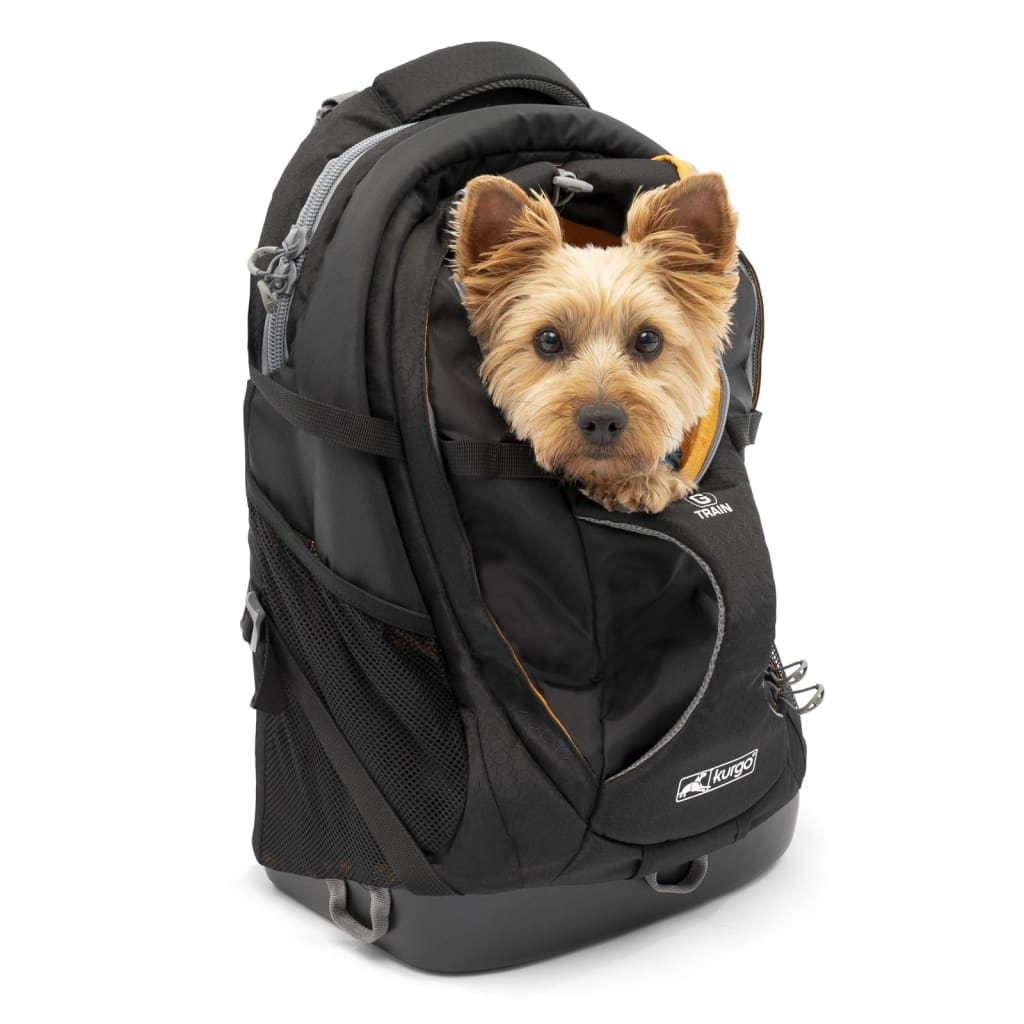 Mochila para cachorro