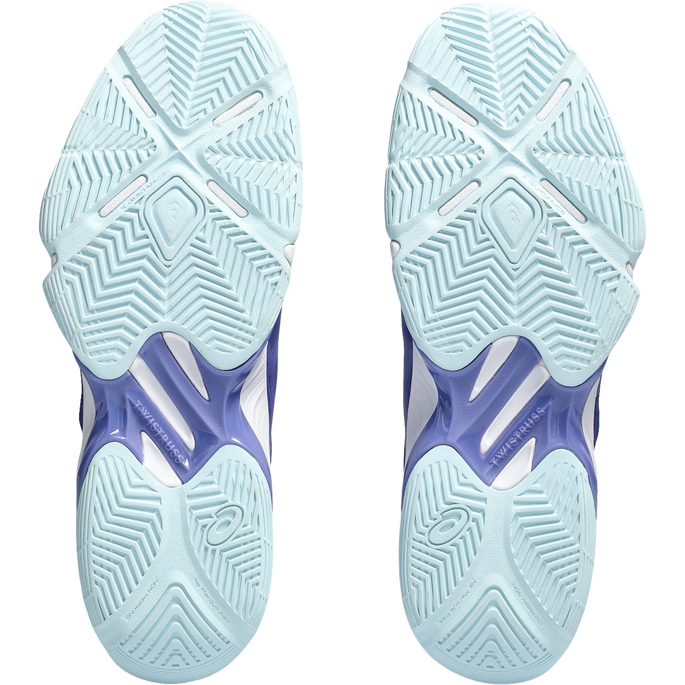 ASICS Blade FF Hallenschuhe Damen eggplant
