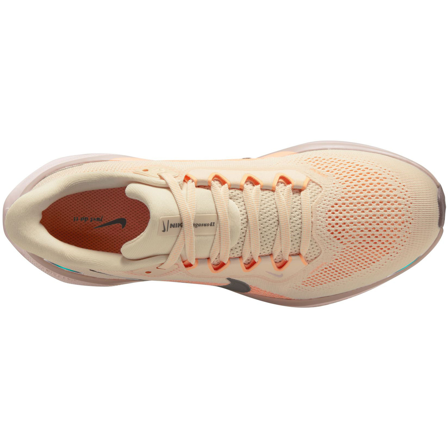 Nike Pegasus 41 Dames