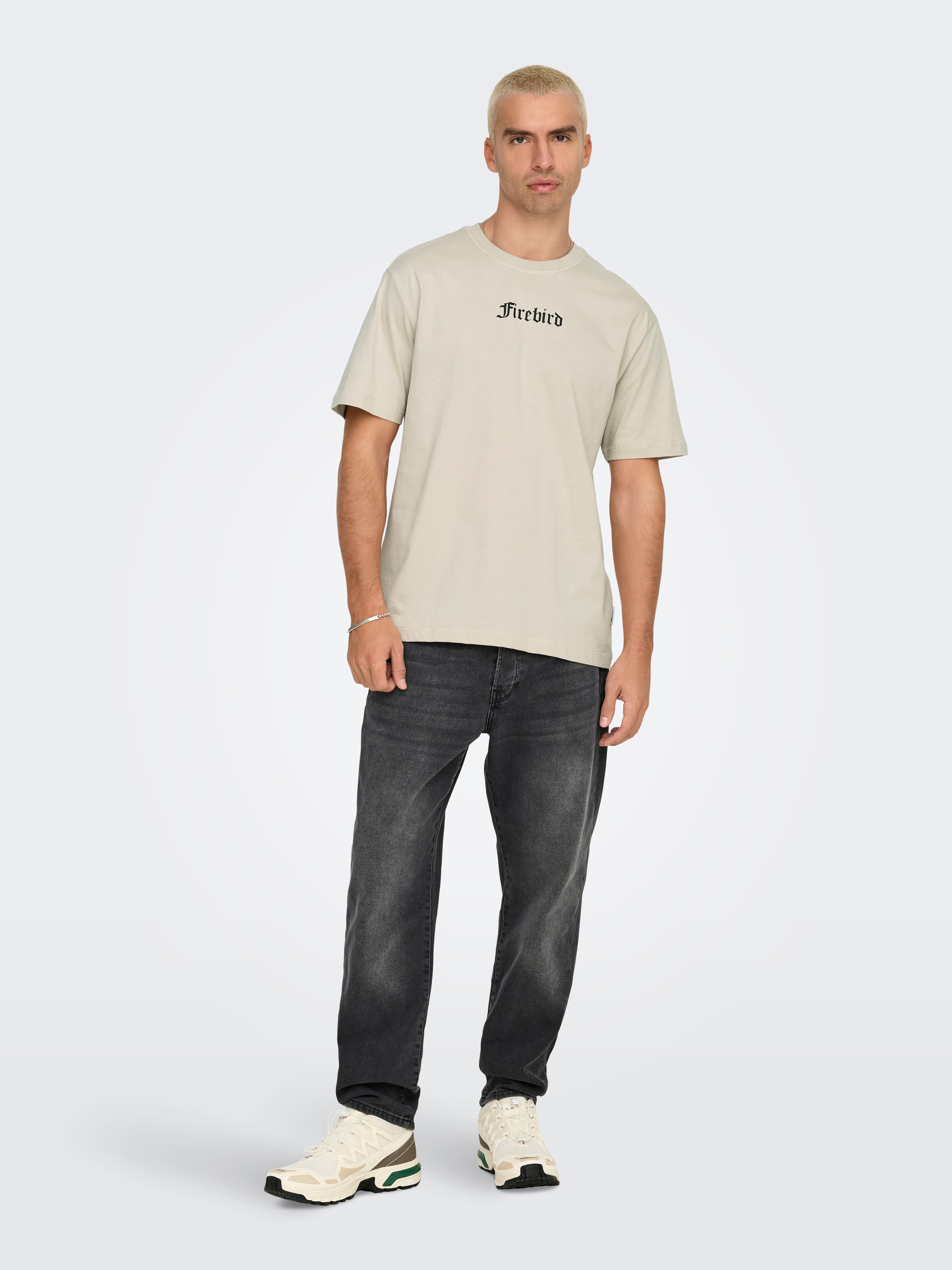 ONSKYLO T-shirt Silver Lining