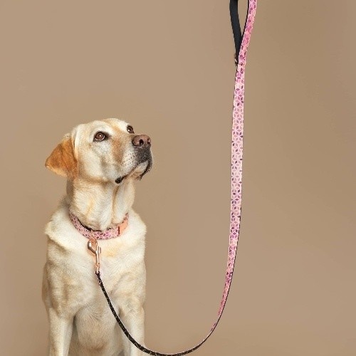 Guia para cães Baona rosa em nylon reciclado kuta