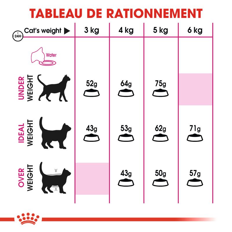 Royal Canin Protein Exigent à prix discount sur bitiba.fr