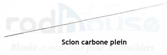 Scion carbone plein