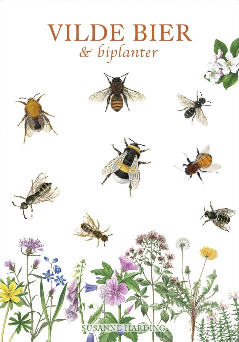 Vilde Bier Og Biplanter - Susanne Harding - Bog