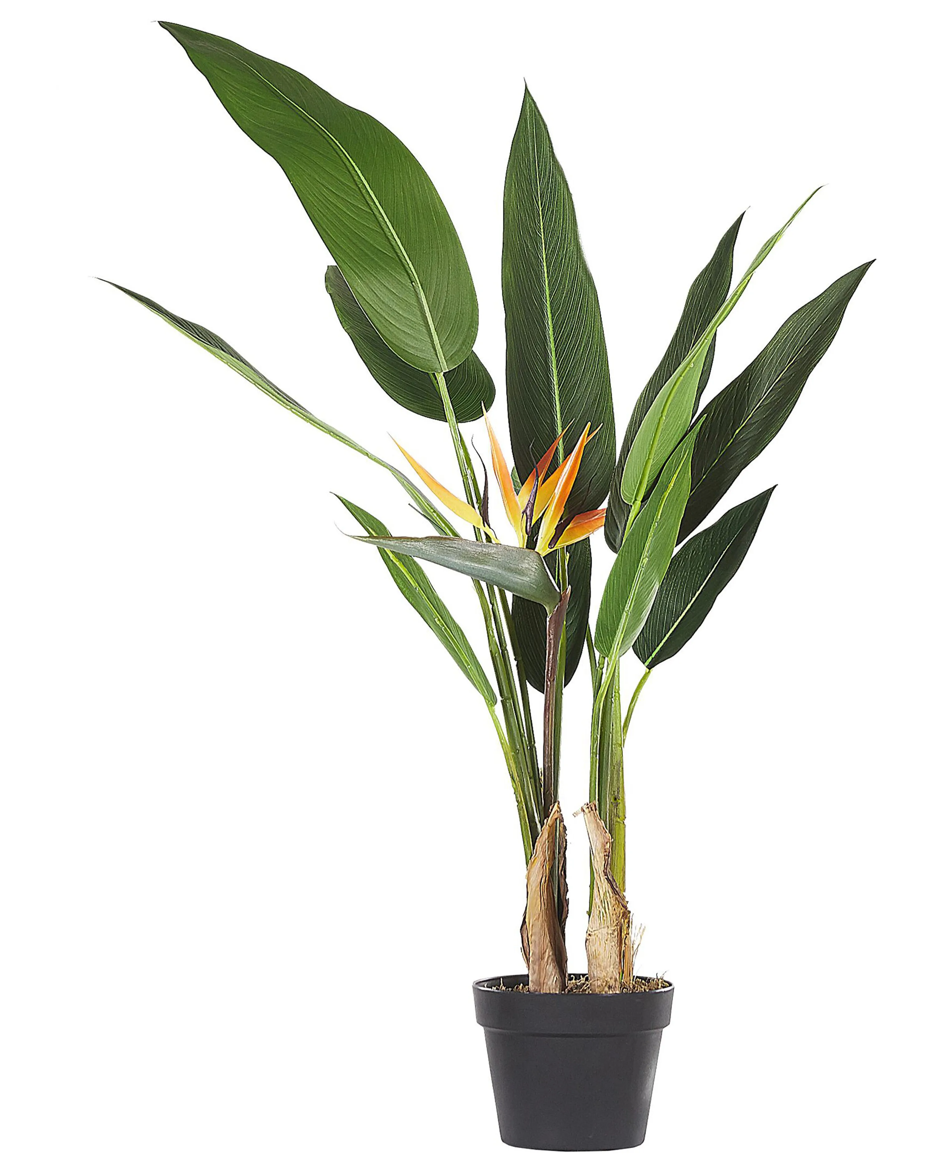 Kunstplant STRELITZIA TREE 115 cm Groen