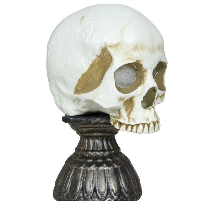 Halloween Schedel Met Licht En Geluid 28cm
