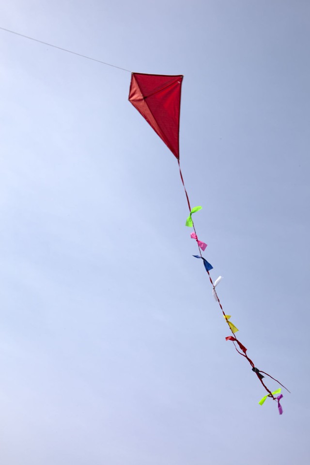 Huckleberry Red Kite (HB11)
