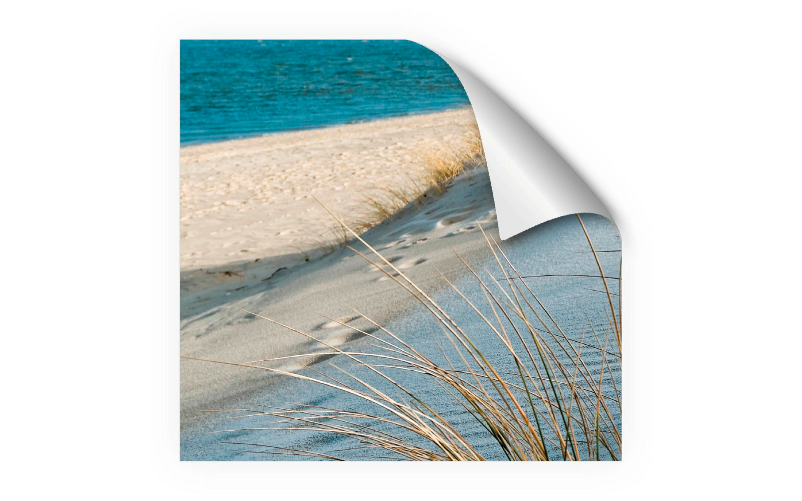 mySpotti Fresh Duschrückwandfolie 90 x 120 cm Motiv Sea Cost