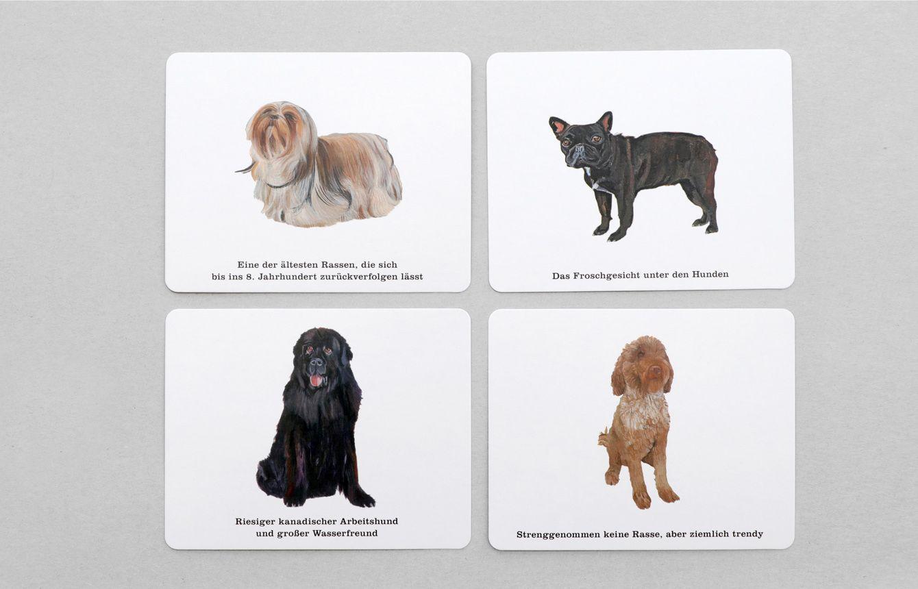 Wer kennt alle Hunde?
