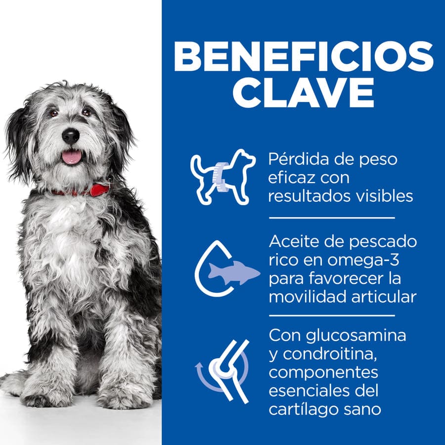 Plano de Ciências Hill's Peso Perfeito e Mobilidade Ativa frango pienso para cães