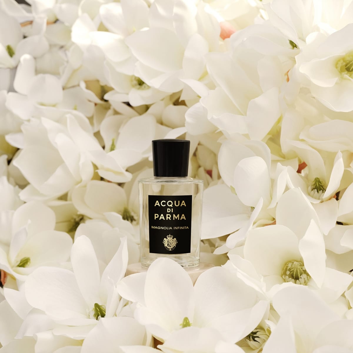 ACQUA DI PARMA Magnolia Infinita Eau de Parfum