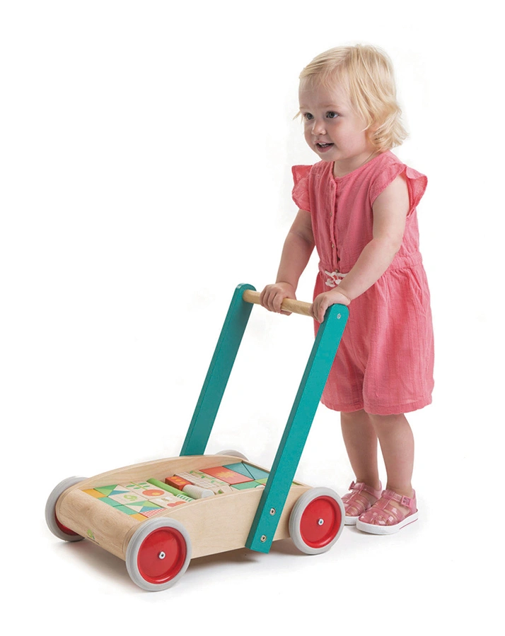 Lauflernwagen BUNTE KLÖTZCHEN 30-teilig