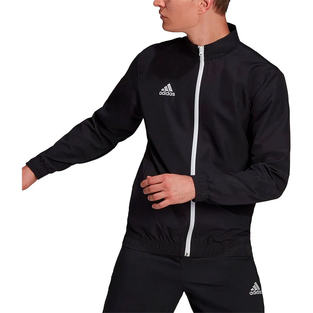 jaqueta adidas Entrada 22