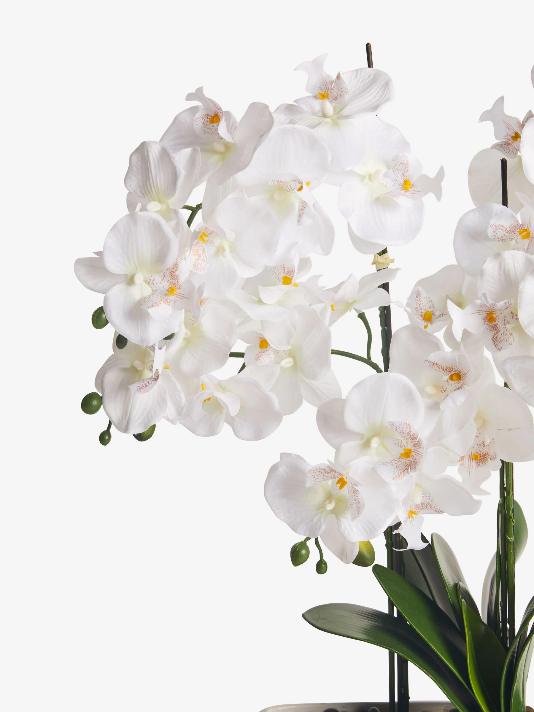 Extra grote echt aanvoelende kunstorchidee in witte pot met houtden standaard