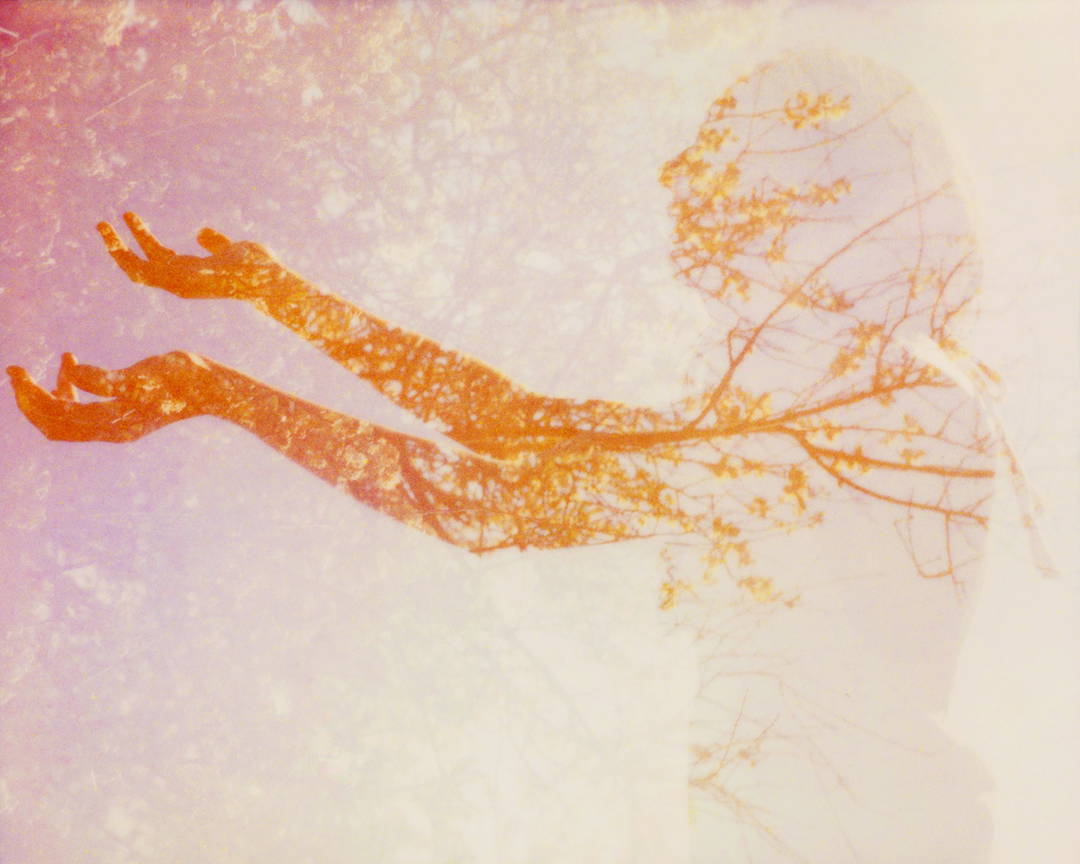 Illuminated VI by Clay Lipsky - Limited Edition. Edition of: 100. Signed.