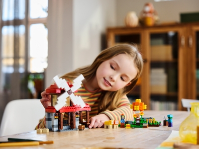 LEGO De windmolenboerderij (21262)
