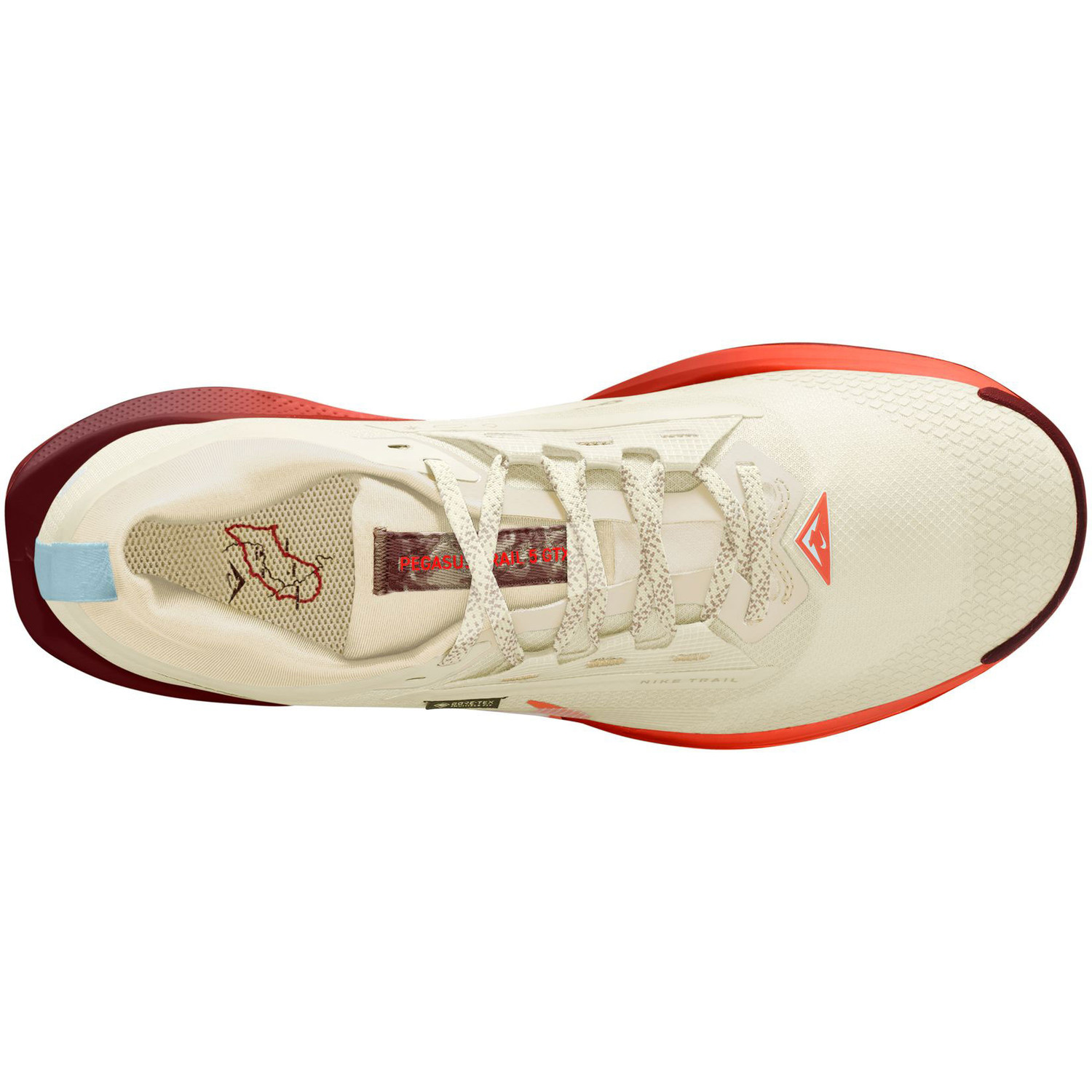 Nike Pegasus Trail 5 GTX Heren