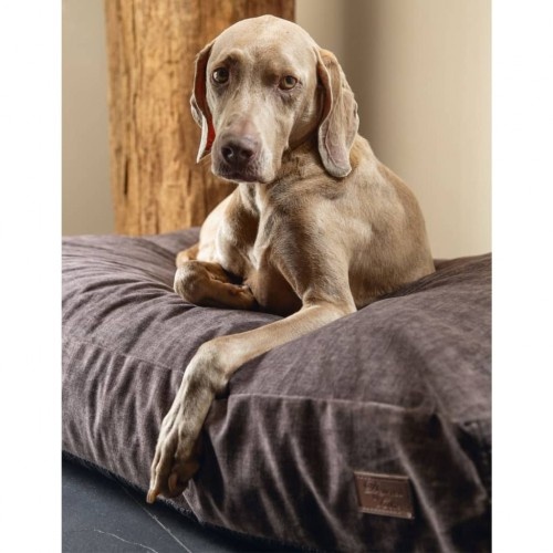 Cama para cães marrom, desenhada por Lotte Unnay