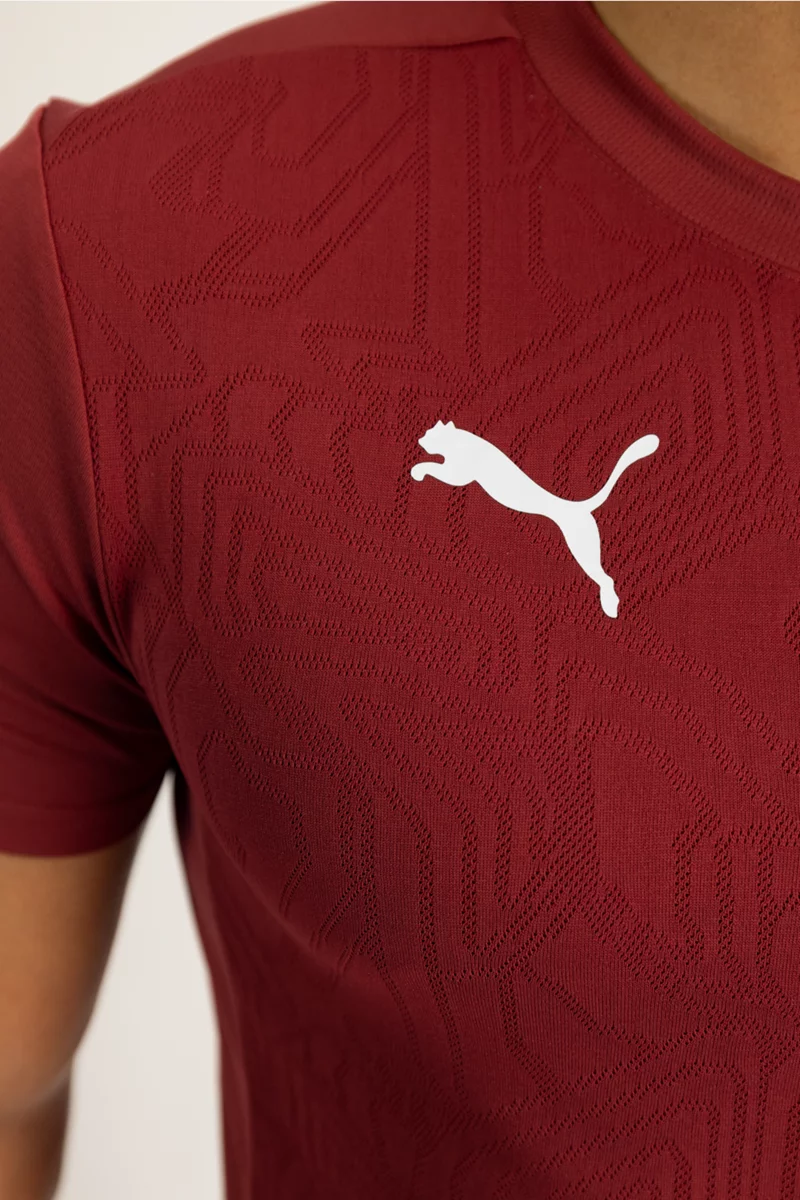 Puma Schweiz Training Herren T-Shirt