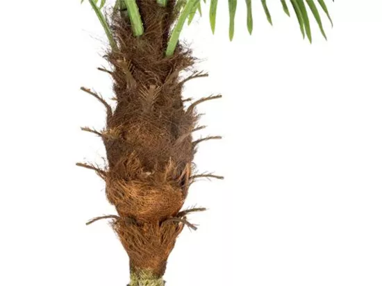 Plante Artificielle Déco 