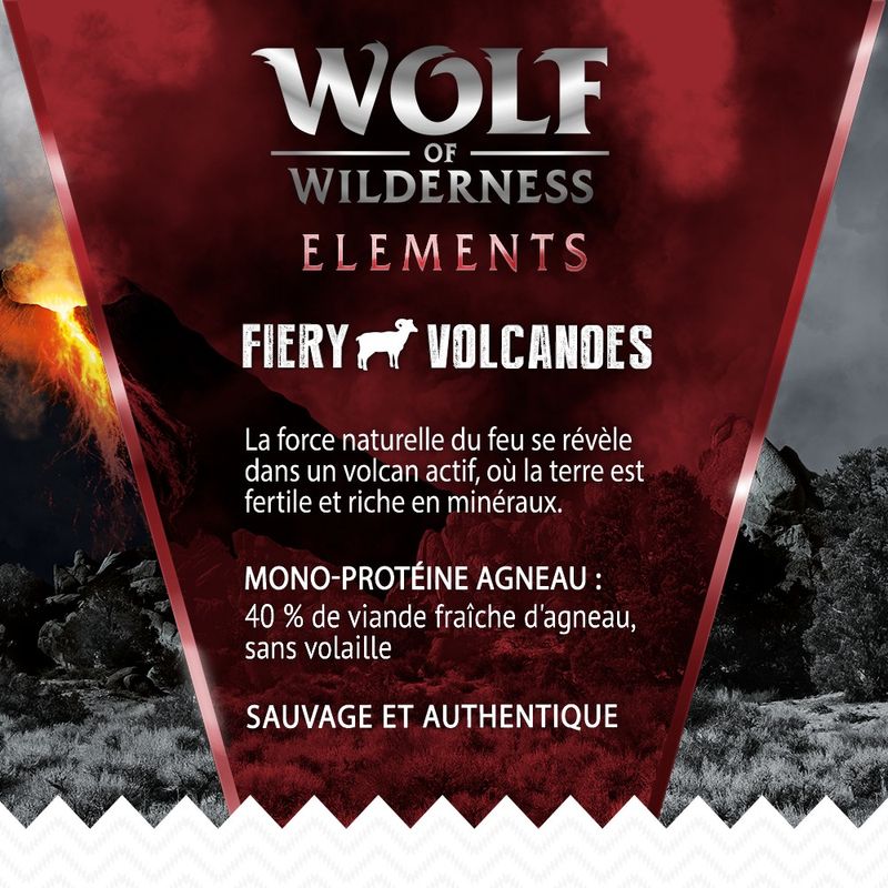 Wolf of Wilderness Fiery Volcanoes, agneau