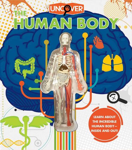 Uncover the Human Body - Uncover (Hardback)