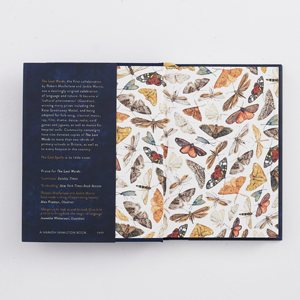 The Lost Spells (Hardback)