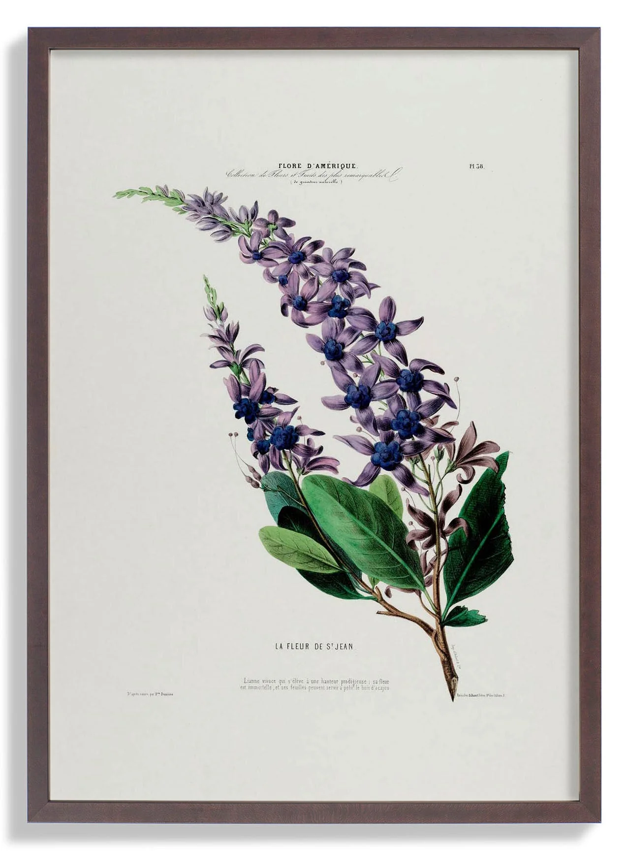 La Fleur De St Jean