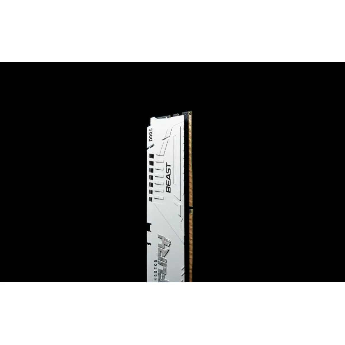 Kingston DIMM DDR5-6000 - 64 GB