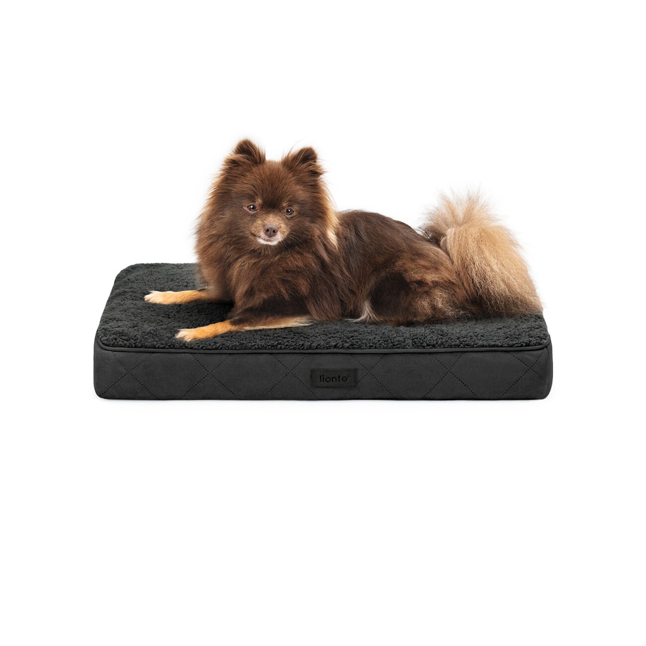 Lionto Hundematte CozyPad