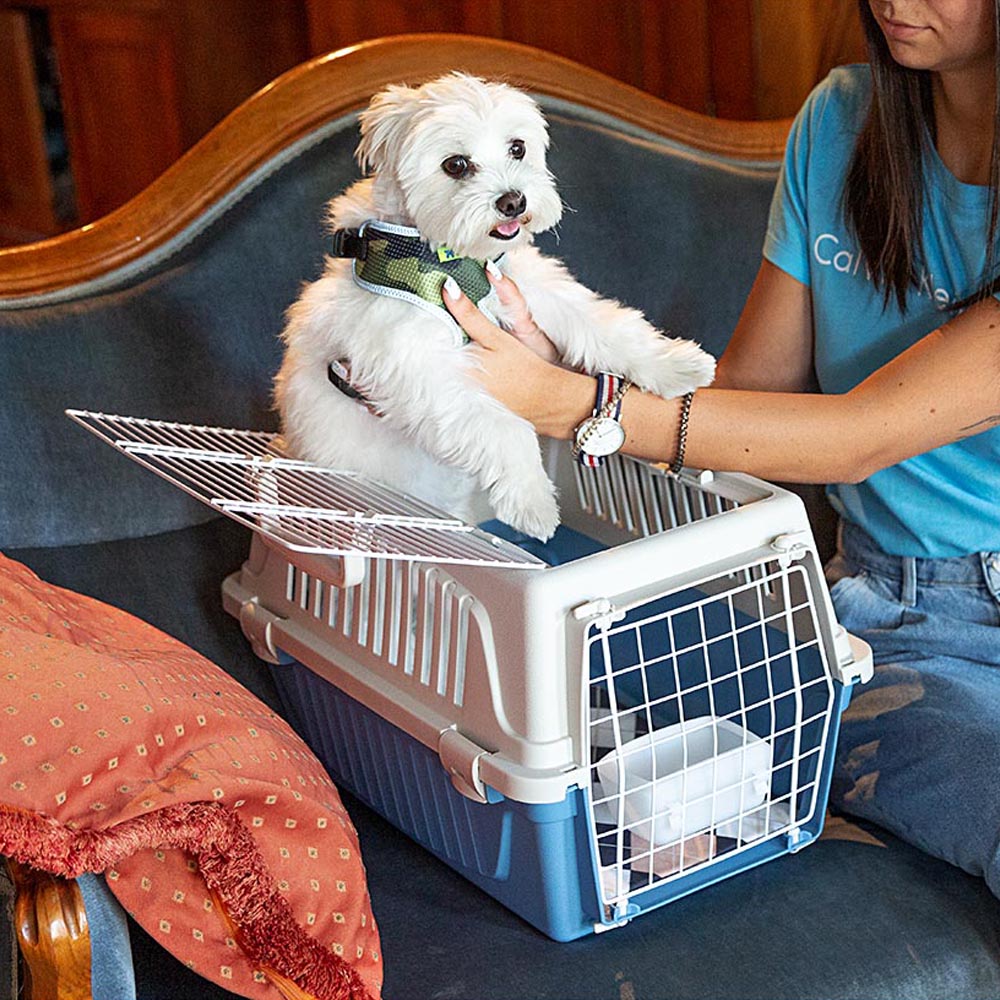 Ferplast caisse de transport chat, cage de transport pour chiens petits et chats jusqu'à 5 kg, toit ouvrable, avec coussin et