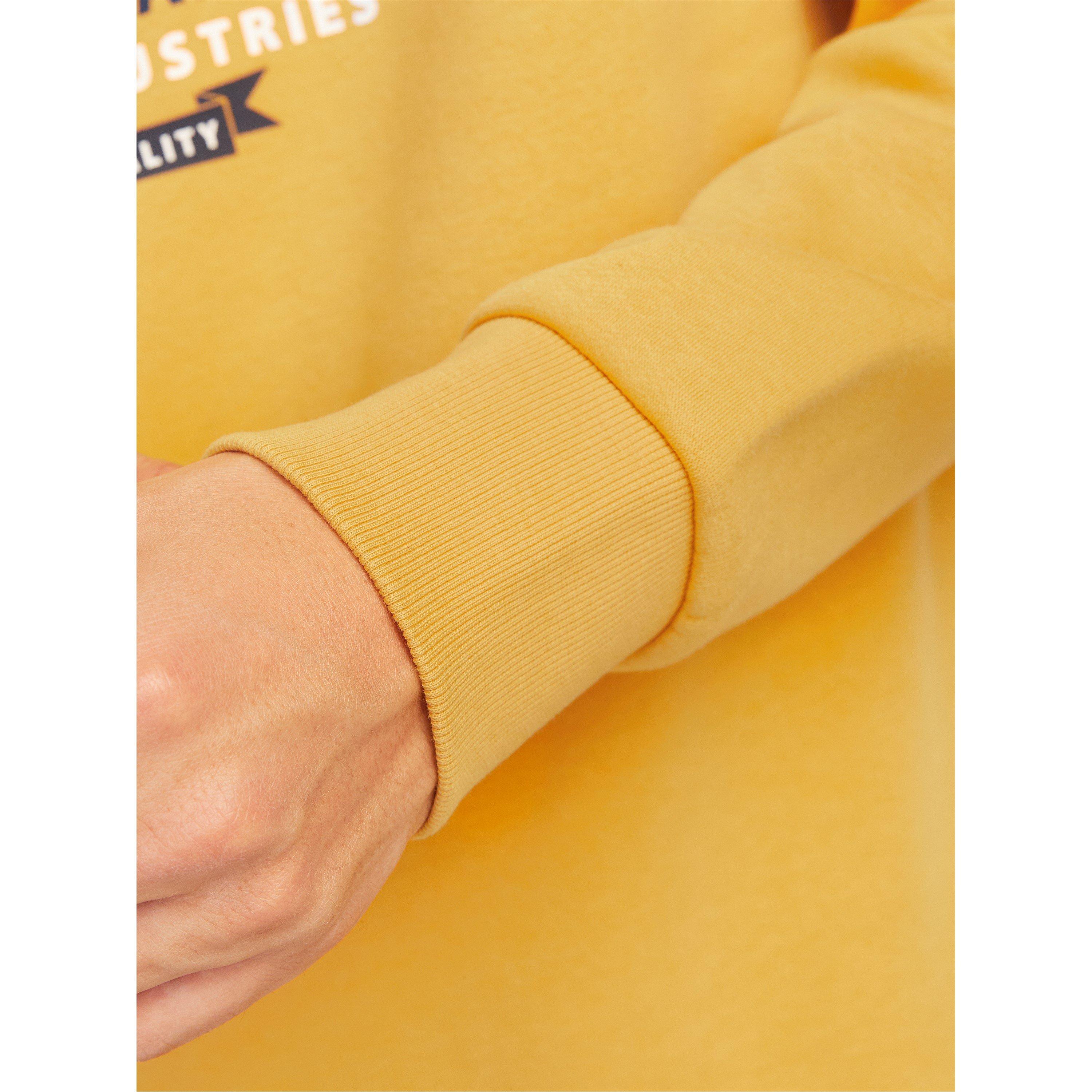 Jack and Jones Sweat Hood Sn99