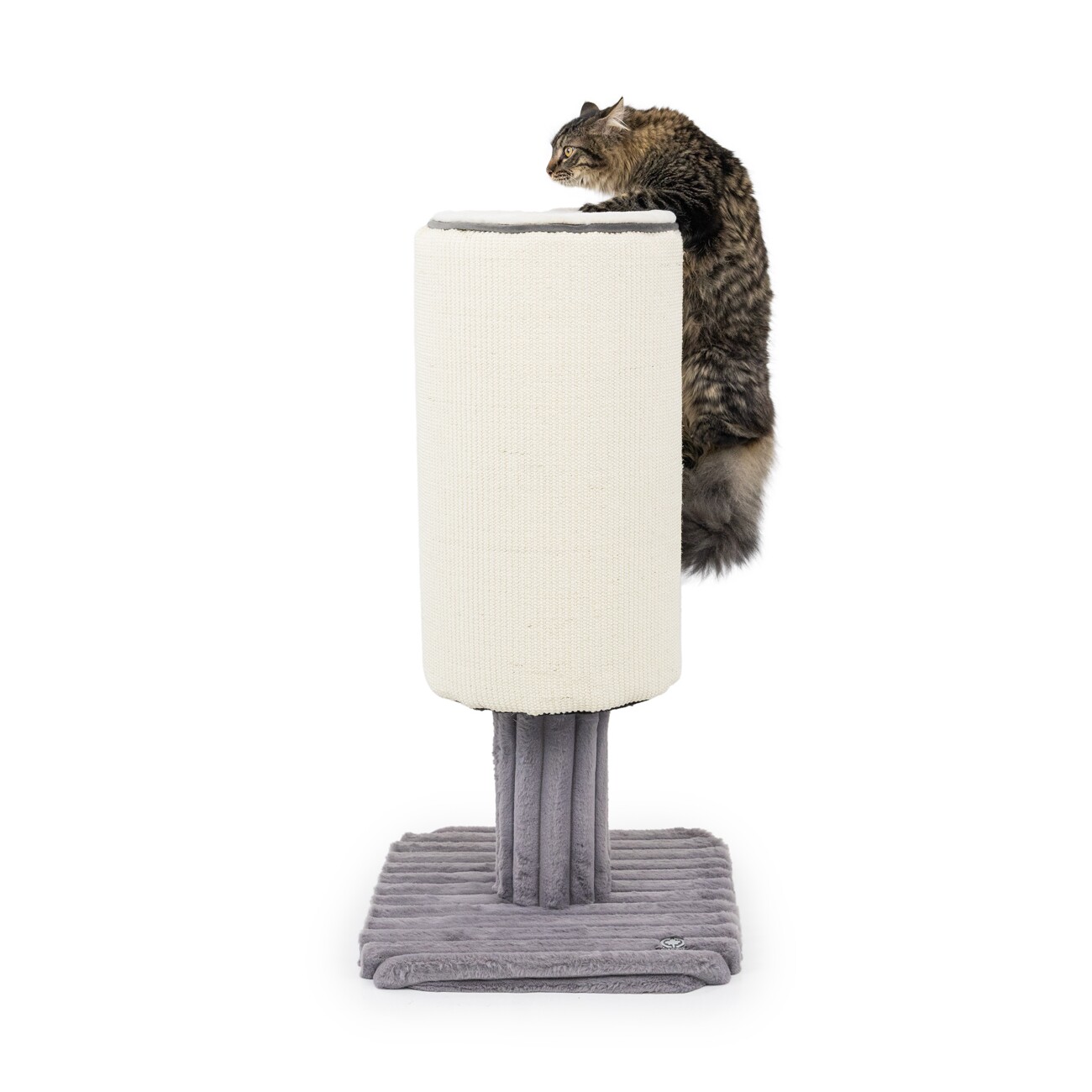 Canadian Cat Company Kratzstamm Jasper