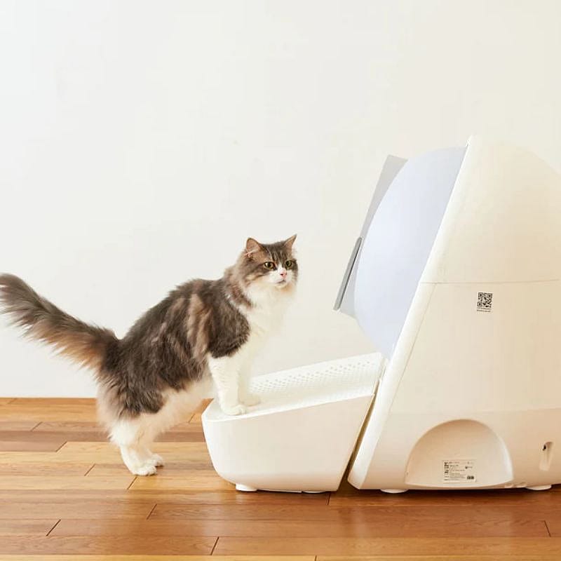 Catlink Scooper Young CL-03 Zelfreinigende Kattenbak | Catlink Stairs voor Scooper Young | 13666.2