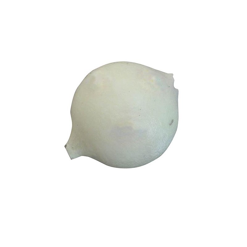 Billes Polystyrene Pafex