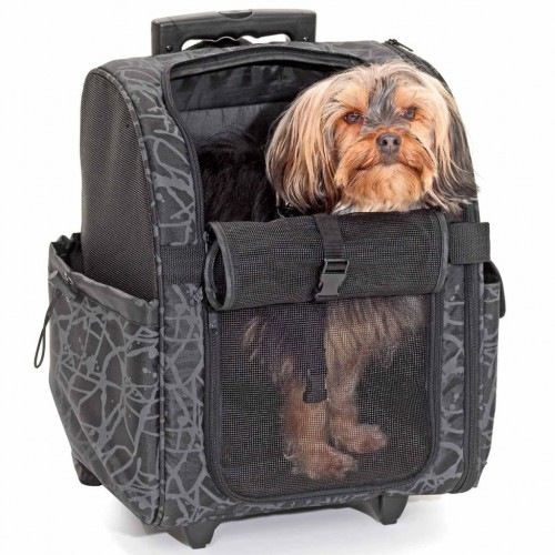 Transportador multifuncional para animais de estimação, preto
