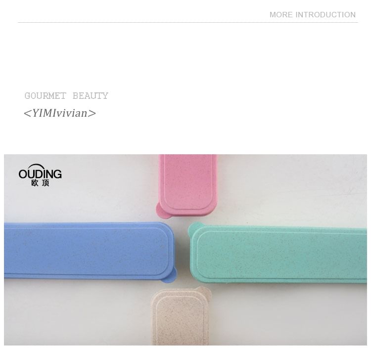 Hashi - Eenvoudige plastic bestekkoffer / tas (verschillende ontwerpen)