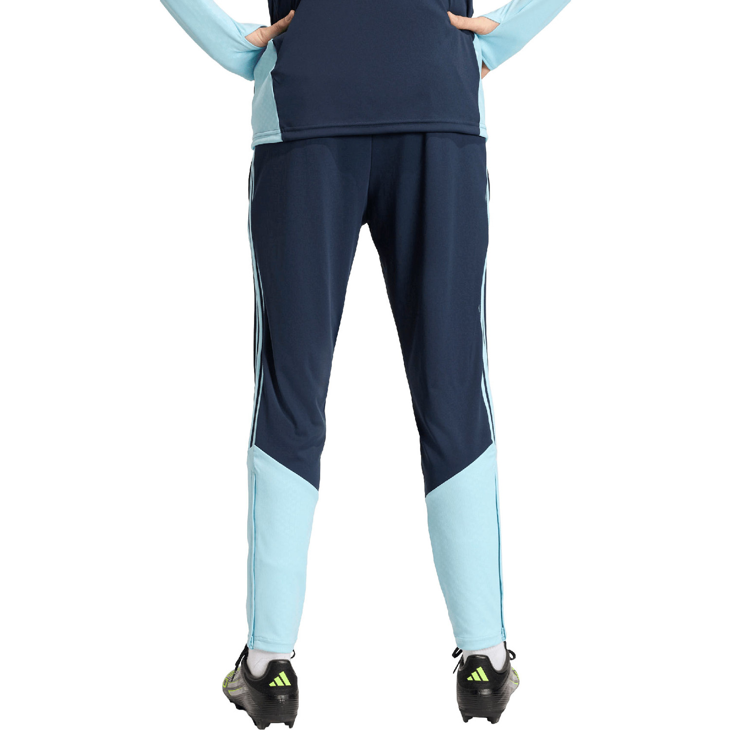 adidas Argentinië Training Pant WK 2026