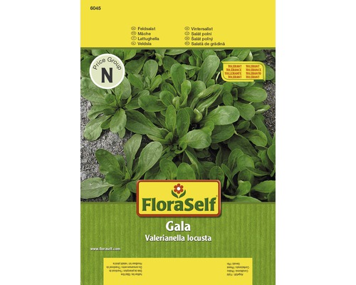 Veldsla 'Gala' FloraZelfbestuivende zaadsla zaden