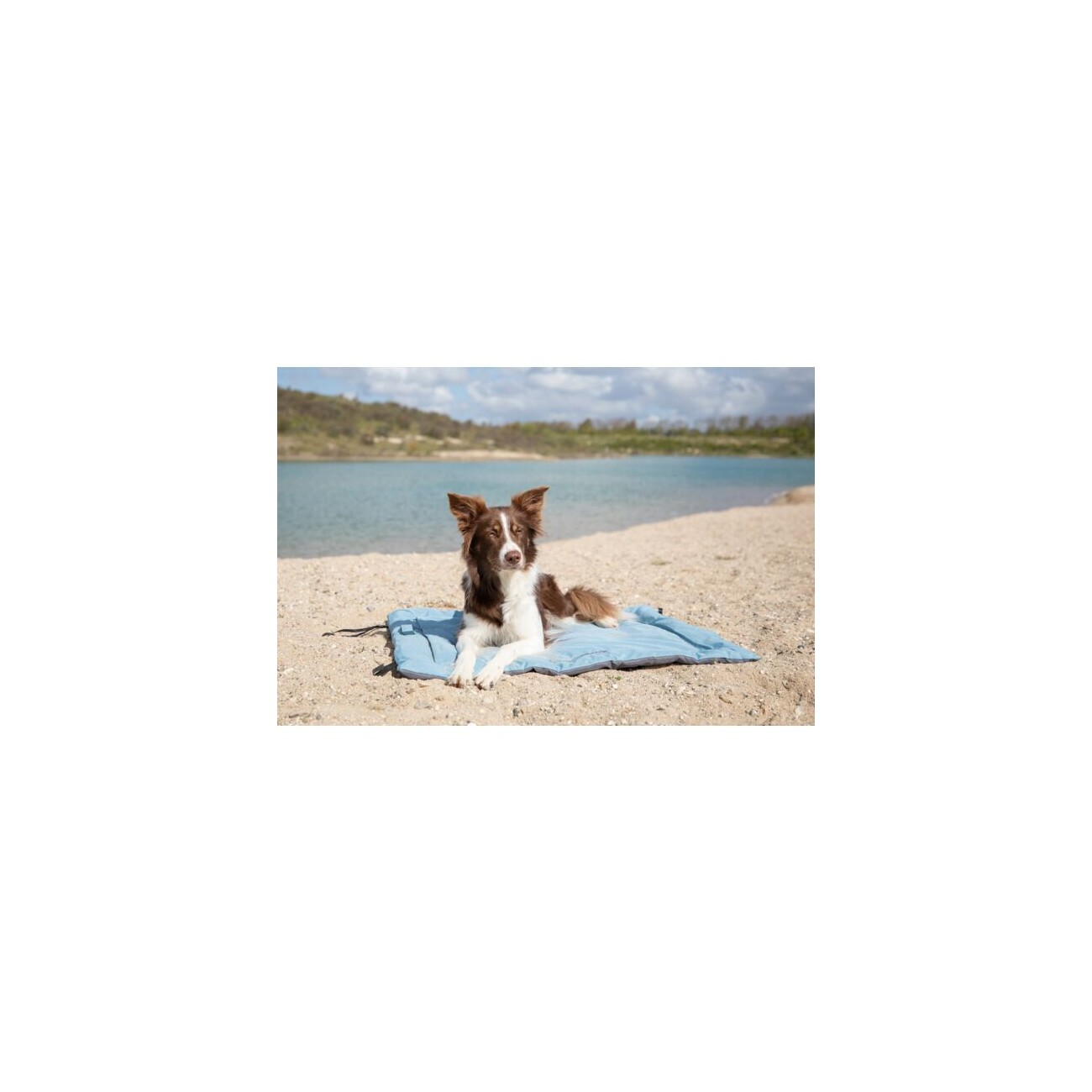 Trixie Reisedecke Samoa Classic 70 cm, 70 cm, 2 cm